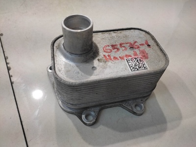 1013100XEC01 Бачок Haval F7 2020