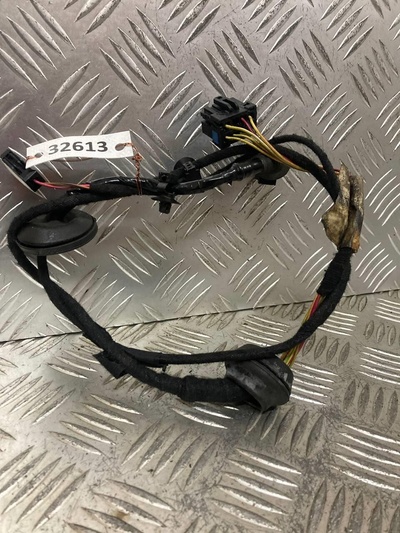 1J0971913 Проводка двери Seat Leon (1M1) 1999-2006 2000 , 380971905, 1J0973713