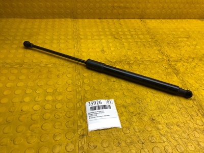 904522228R Амортизатор багажника Renault Duster 2021