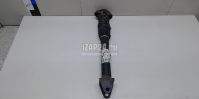 1663202030 Амортизатор задний Mercedes Benz GL-Class X166 (GL/GLS) (2012 - 2019)