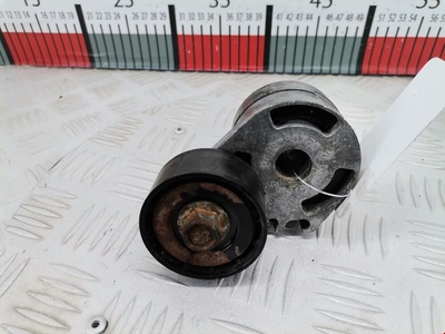 9638380780 Натяжитель ремня генератора (приводного поликлинового ремня Ford Fiesta 5 (2002-2008) 2002 ,1480012