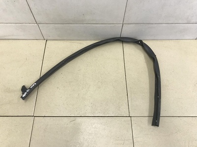 808310017R Уплотнитель двери RENAULT Duster 2012>