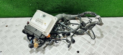 8E0907401P Проводка двигателя Audi A6 C5 (S6,RS6) 2002 , 0281011136,