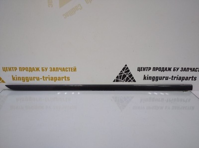 5JA853516 Молдинг двери Skoda Rapid 1 NH3 Рестайлинг 2017-2020