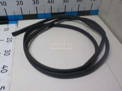 1495864 Уплотнитель двери Ford Focus II (2008 - 2011)