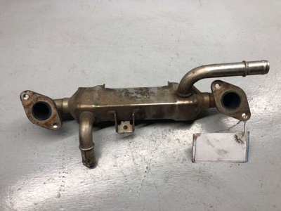 038131513 Радиатор EGR Volkswagen Golf 4 1999