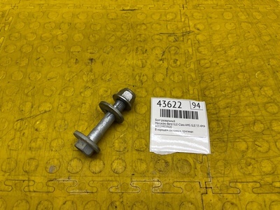 A0029903920 Болт развальный Mercedes-Benz GLE-Class AMG GLE 53 4MATIC+ 2020