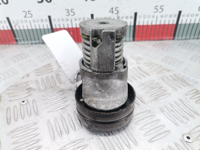 038903315T Натяжитель ремня генератора (приводного поликлинового ремня Volkswagen Polo 4 (2001-2009) 2001 ,038903315AM
