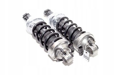 420512019G амортизатор magnetic ride audi r8 v8 v10 spyder