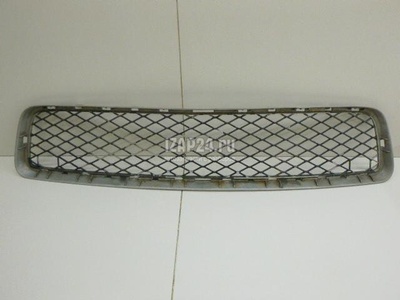 51117163956 Решетка в бампер центральная BMW X5 E70 (2007 - 2013)