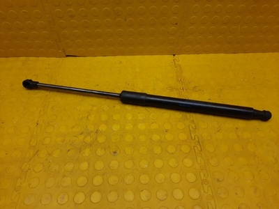 904522228R Амортизатор багажника Renault Duster HJD 2021