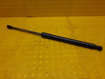 904522228R Амортизатор багажника Renault Duster HJD 2021