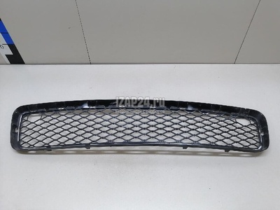 51117163956 Решетка в бампер центральная BMW X5 E70 (2007 - 2013)