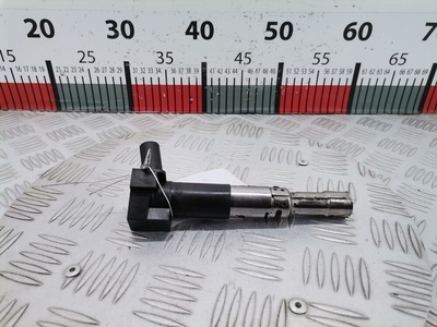 R1601C00100 Катушка зажигания Volkswagen Passat 5 GP (2000-2005) 2001 ,066905100B