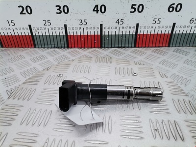 R1601C00100 Катушка зажигания Volkswagen Passat 5 GP (2000-2005) 2003 ,066905100B