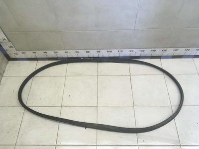 8200077500 Уплотнитель (внутри) RENAULT Megane II 2002-2009