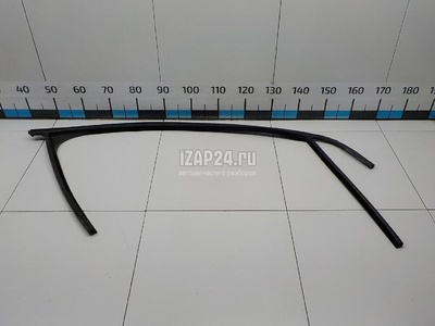 1685043 Уплотнитель стекла двери Ford Focus II (2008 - 2011)