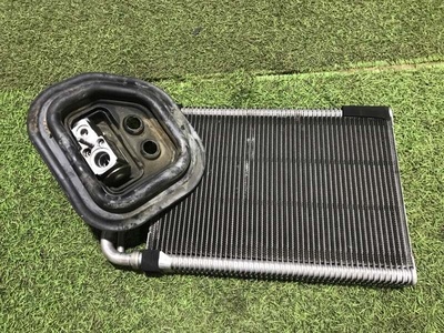 A0998300600 радиатор печки Mercedes-Benz E class W213 2019 , T10249000S, , A2058309904