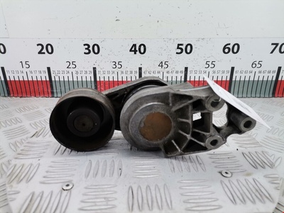 038903315AN Натяжитель ремня генератора (приводного поликлинового ремня Volkswagen Golf 4 (1997-2004) 2001 ,038903315F
