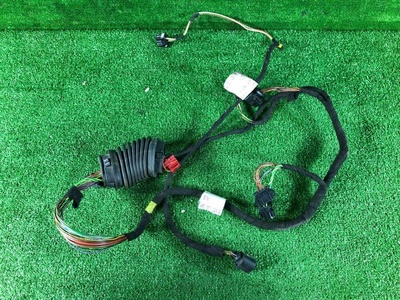 4B0971029E Проводка двери передней левой Audi A6 C5 (S6,RS6) 2004 , 4B0971029B