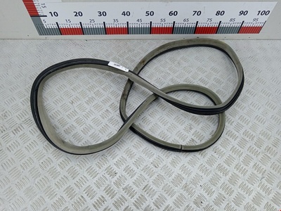 8200440770 Уплотнитель двери Renault Laguna 2 (2000-2007) 2004 ,