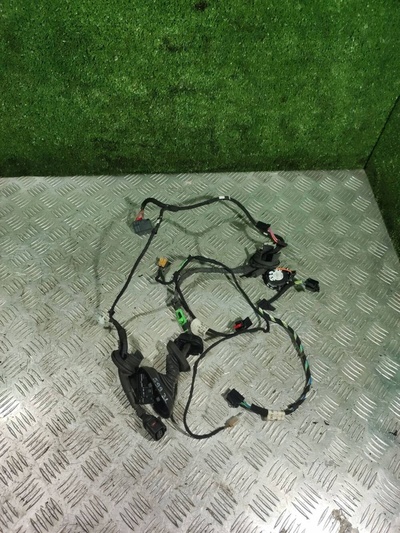 4F1971687A Проводка двери задней левой Audi A6 4F/C6 2005 ,4F1971693G