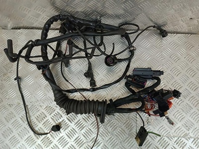 3B1971072AH Проводка двигателя Volkswagen Passat B5+ рестайлинг 2000-2005 2001