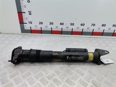 E4SR4Z016A00 Амортизатор задний правый Mercedes R-Class (W251) (2005-2010) 2010 ,A2513200631