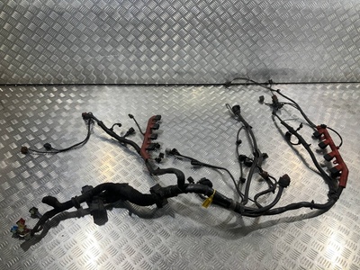 4E1971713CB Проводка двигателя Audi A6 4F/C6 2006