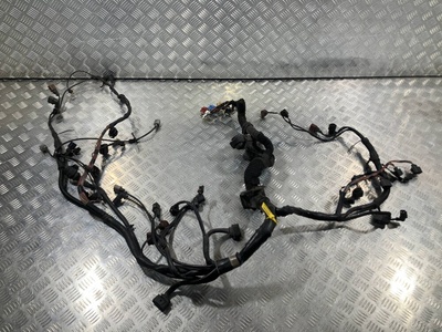 4E1971713CB Проводка двигателя Audi A6 4F/C6 2006