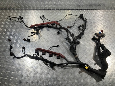 4E1971713CB Проводка двигателя Audi A6 4F/C6 2006