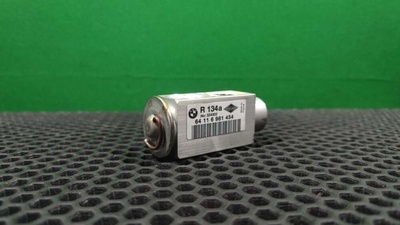 116981454 Клапан ТРВ (расширительный) кондиционера BMW X5 E53 2005 64 11 6 981 454