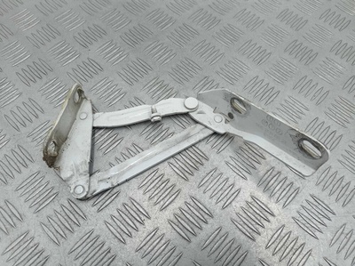 9067500021 Петля капота левая Mercedes Sprinter II (w906) 2006 - 2017 2017 ,