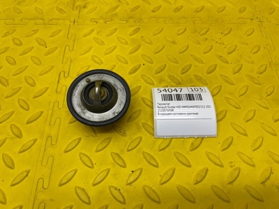 212007696R Термостат Renault Duster HJD 2021