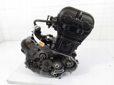 Двигатель aprilia rs4 125 , 22r абс