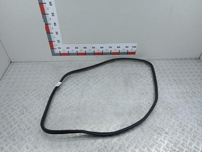 8200440770 Уплотнитель двери Renault Laguna 2 (2000-2007) 2002 ,