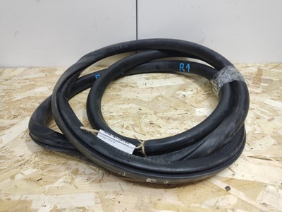 3C4867911C5AP уплотнитель проема двери Volkswagen Passat B6