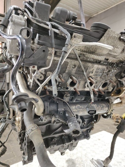 Двигатель Volkswagen Passat 2009 2.0 дизель TDi
