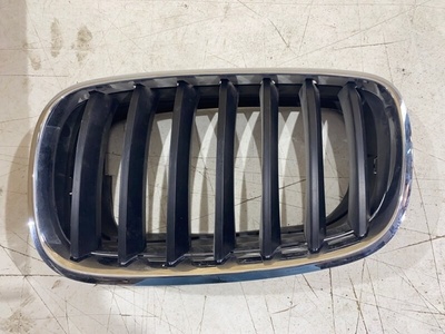 51137171395 Решетка радиатора BMW X5 E70