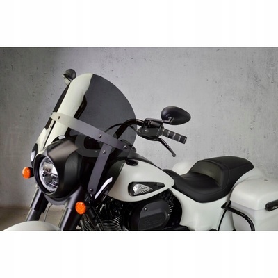 LOSTER3154894120668 стекло loster indian springfield dark horse 1800