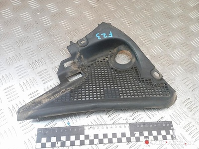 668620010R Дождевик Renault Scenic 3 2010