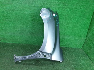 631019305R Крыло переднее левое Renault Duster 2 (2020-Н.В.)