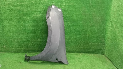 OEM0053KPL Крыло переднее левое Renault Duster 1 (2011-2021) Renault Параметр: Модель 2010