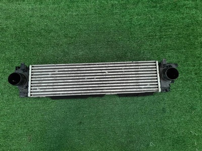 2074089900 Интеркулер Geely Tugella (2019-2023)