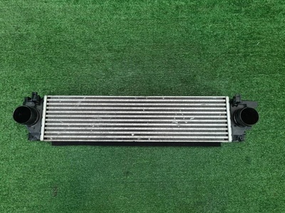 2074089900 Интеркулер Geely Tugella (2019-2023)