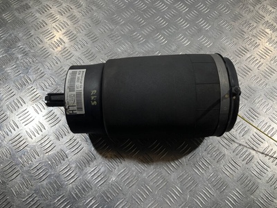 DPLA5587AD Пневмоподушка Land Rover Range Rover Sport 2 2014 DPLA-5587-AD