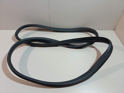 769239106R Уплотнитель двери Renault Arkana 2019