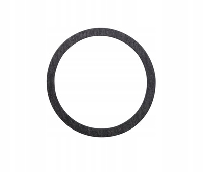 CEL389 USZCZELKA O - RING D5W D5WZ D4WSC D3WZ