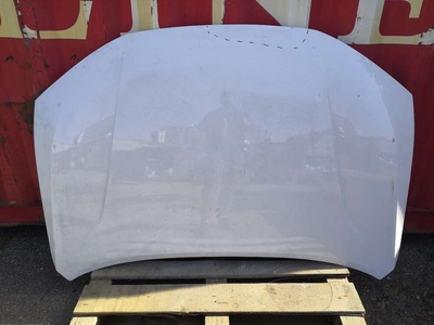 JH21DNG22043 Капот Jetour Dashing 2023