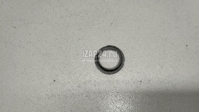1T0919133C704 Кольцо уплотнительное датчика парковки VAG Q7 [4L] (2005 - 2015)